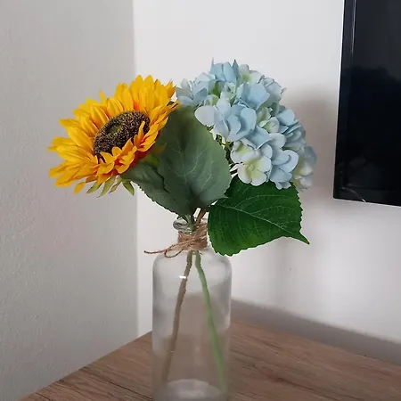 Alto Do Sossego Nordeste