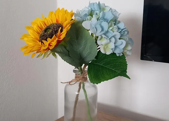 Alto Do Sossego Nordeste (Azores)