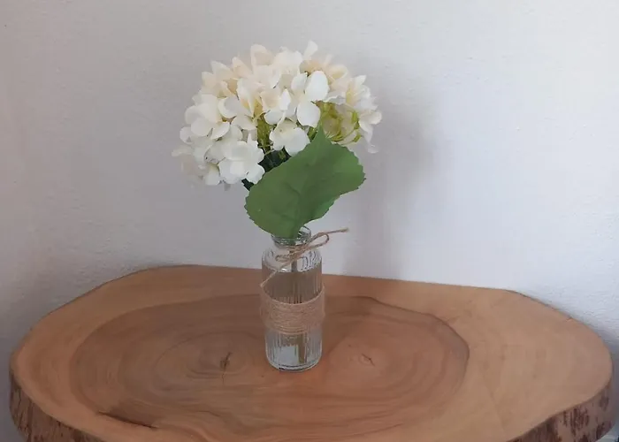 Casa vacanze Alto Do Sossego Nordeste (Azores)